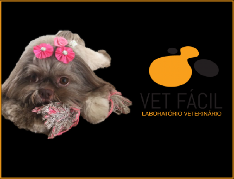 Onde Encontro Exames Laboratoriais para Hemograma Vila Maria - Exames Laboratoriais para Animais Domésticos